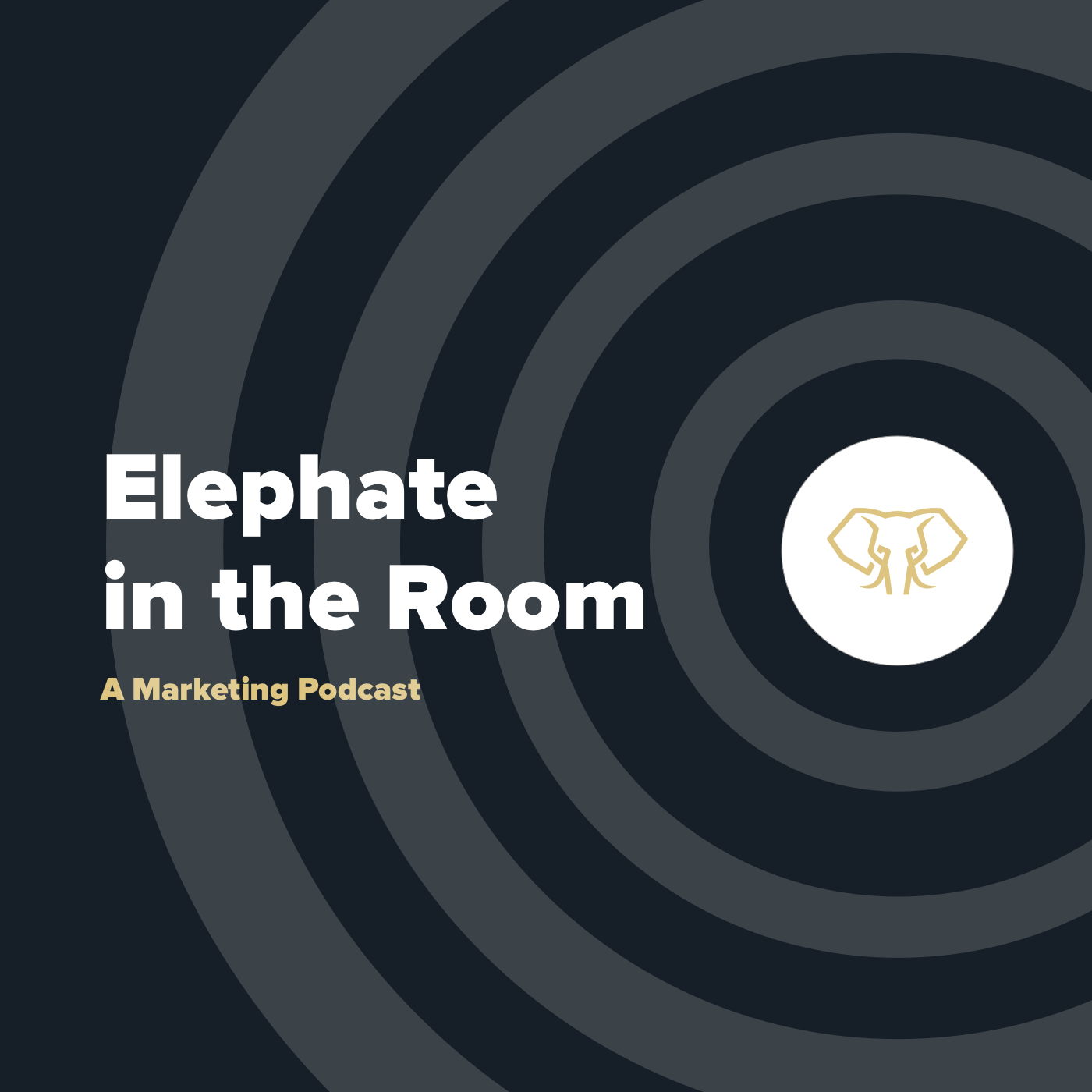 Elephate in the Room